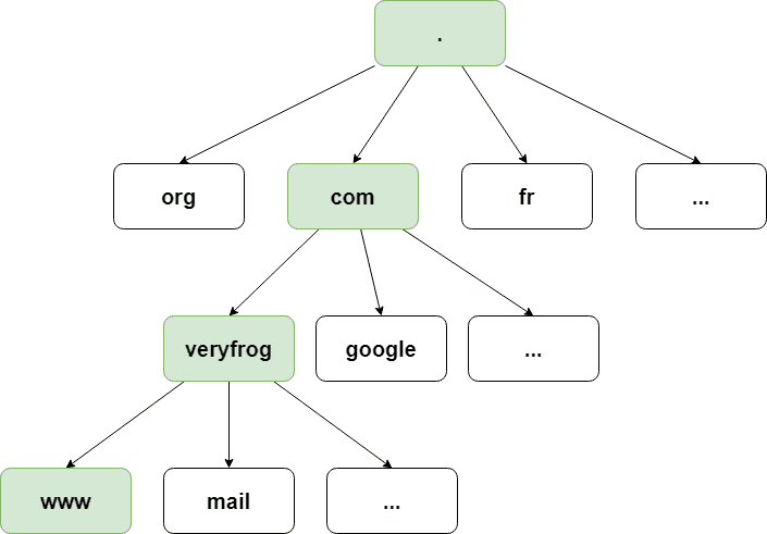 Arbre DNS